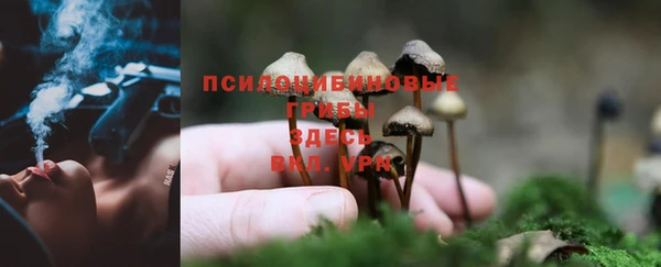 прущая мука Абинск