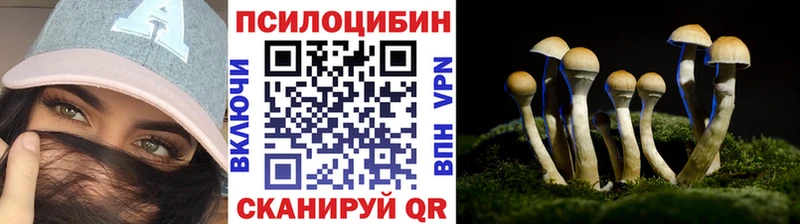 Галлюциногенные грибы Magic Shrooms  Орск 